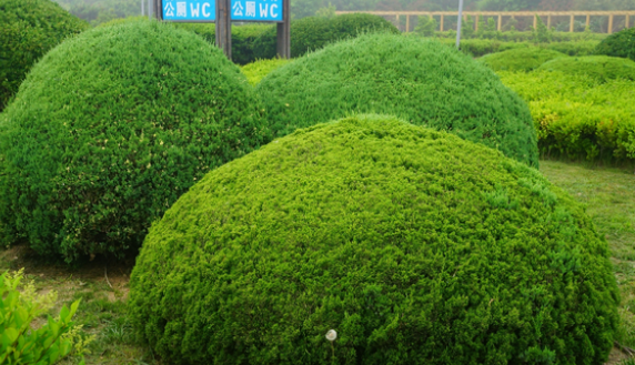 1675492458639980.png 微信图片_20230204143155.png