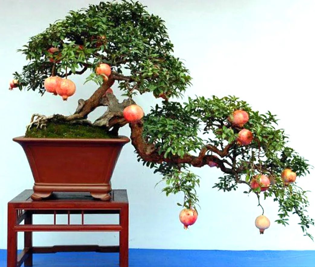 1675696111493194.jpg 微信图片_20230107163820.jpg