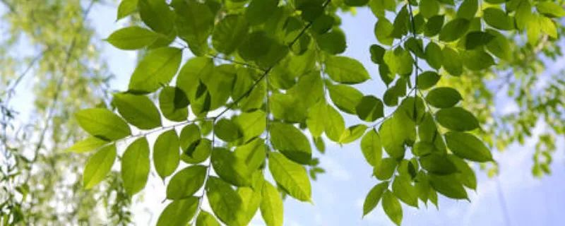 1676177441276600.jpg 微信图片_20221025220203.jpg