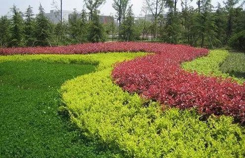 1676582121672233.jpg 微信图片_20230204142209.jpg