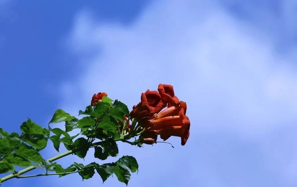 1676895940642063.jpg 微信图片_20230116072229.jpg
