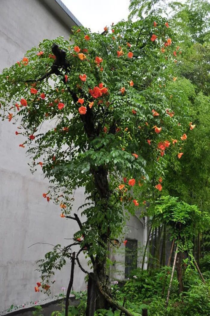 1676895950254918.jpg 微信图片_20230204105929.jpg