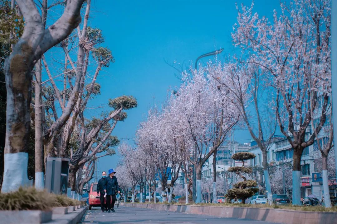 微信图片_20230107194957.jpg