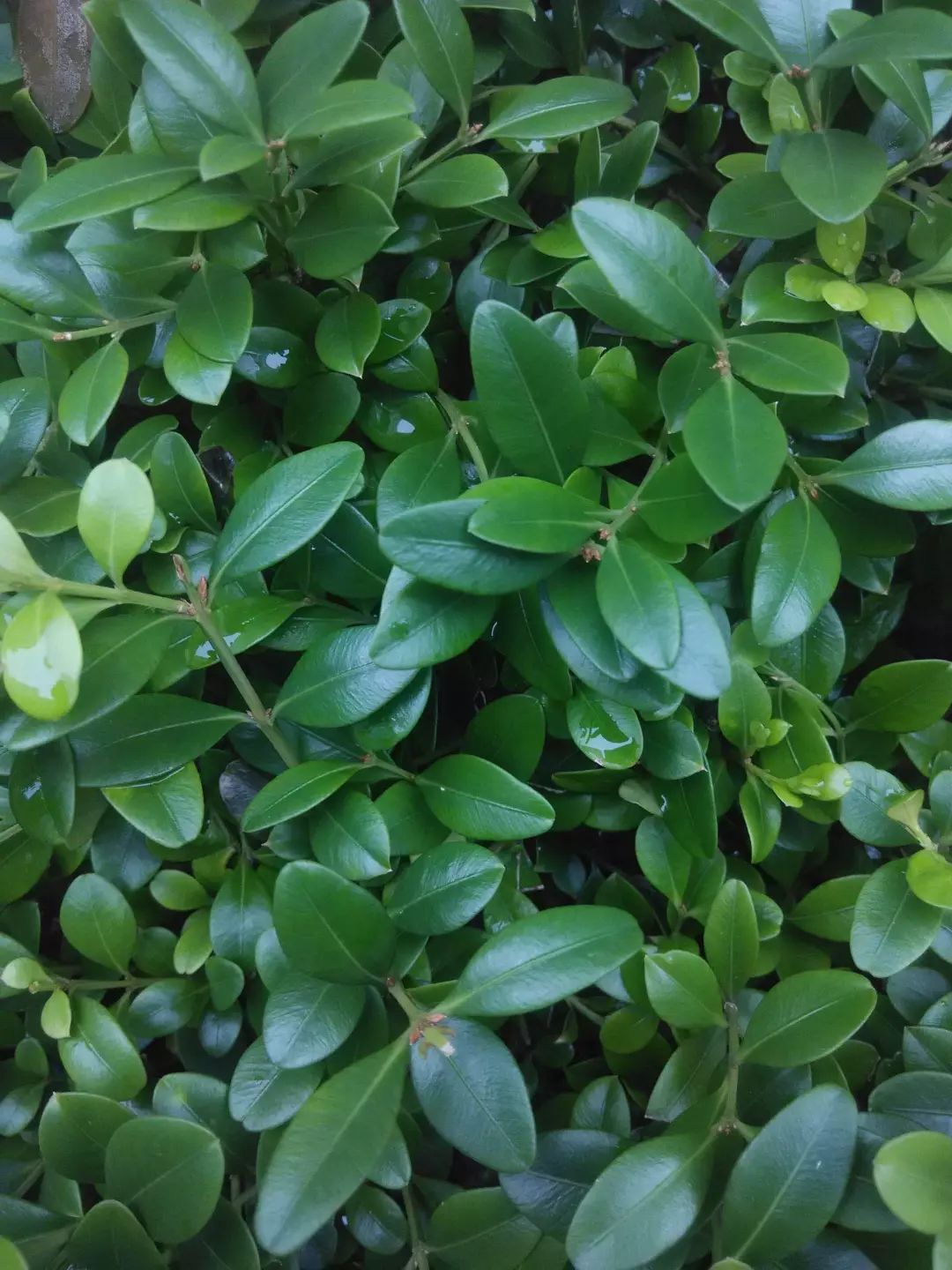 1676899229789901.jpg 微信图片_20230204140827.jpg