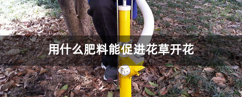 用什么肥料能促进花草开花 用什么肥料能促进花草开花