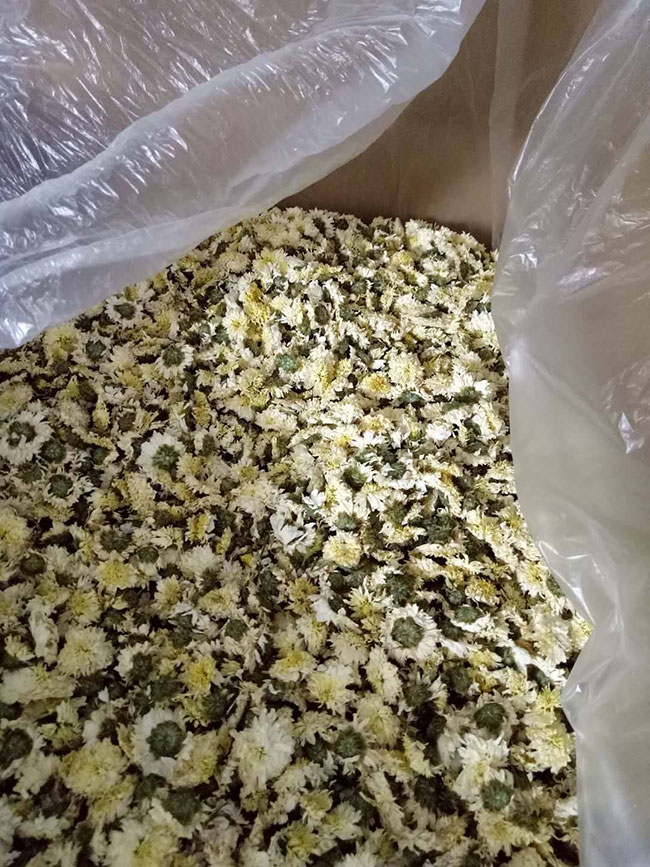 菊花茶有几种 菊花茶有几种