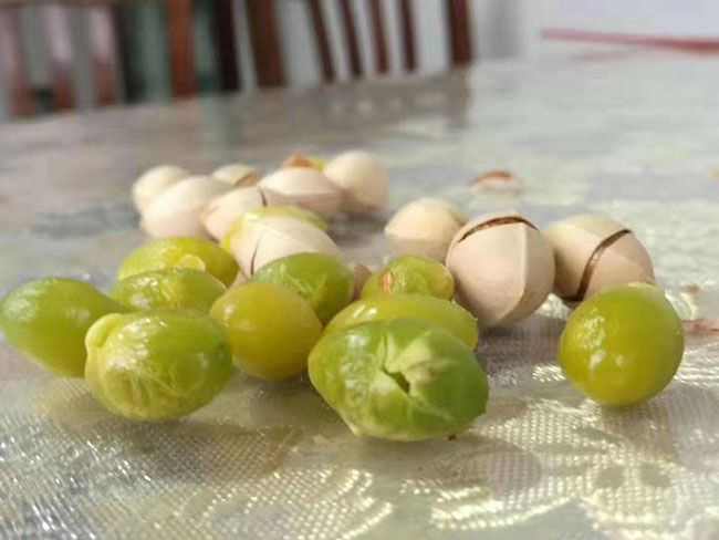 白果 白果