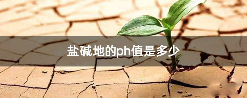 盐碱地的ph值是多少 盐碱地的ph值是多少