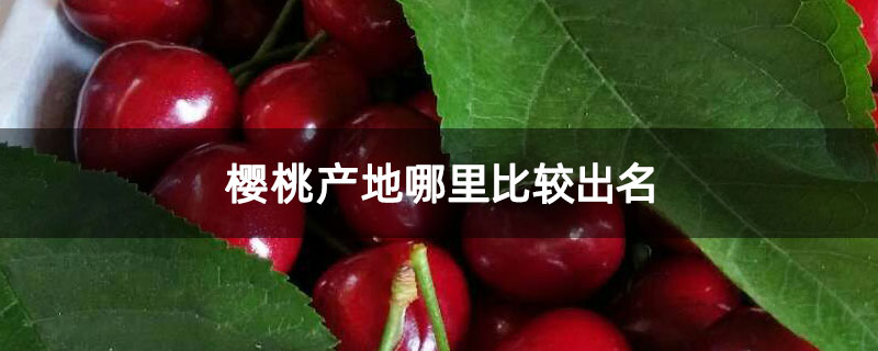 樱桃产地哪里比较出名 樱桃产地哪里比较出名