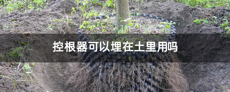 控根器可以埋在土里用吗 控根器可以埋在土里用吗