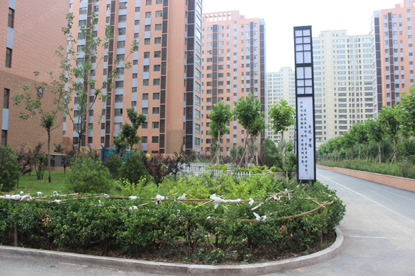 小区绿化 小区绿化