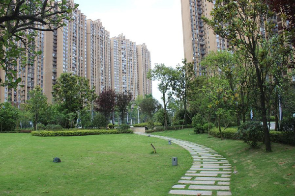 小区绿化 小区绿化