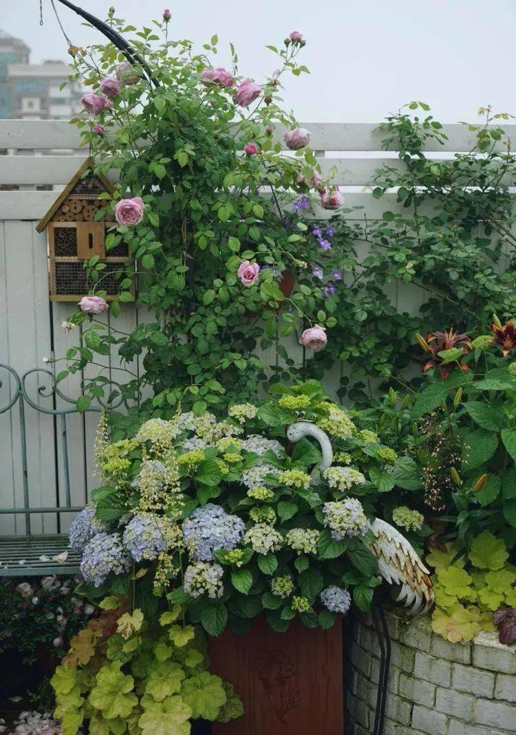 80平屋顶花园设计实景图案例，效果非常理想-青望私家花园设计-1