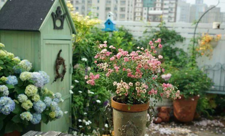 80平屋顶花园设计实景图案例，效果非常理想-青望私家花园设计-1