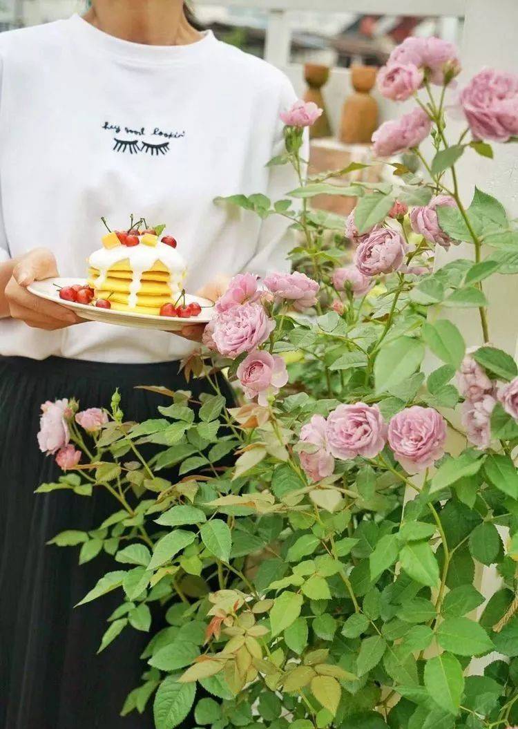 80平屋顶花园设计实景图案例，效果非常理想-青望私家花园设计-1