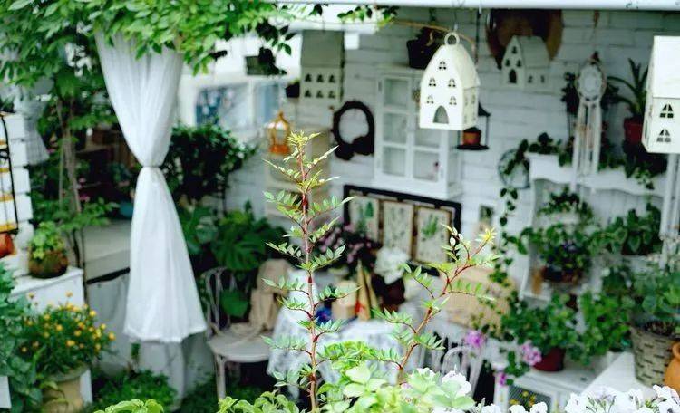 80平屋顶花园设计实景图案例，效果非常理想-青望私家花园设计-1