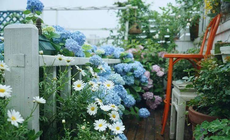 80平屋顶花园设计实景图案例，效果非常理想-青望私家花园设计-1