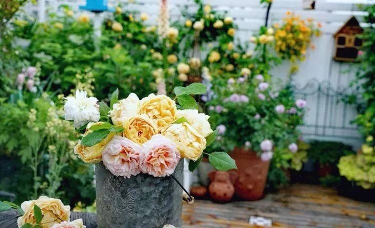 80平屋顶花园设计实景图案例，效果非常理想-青望私家花园设计-1