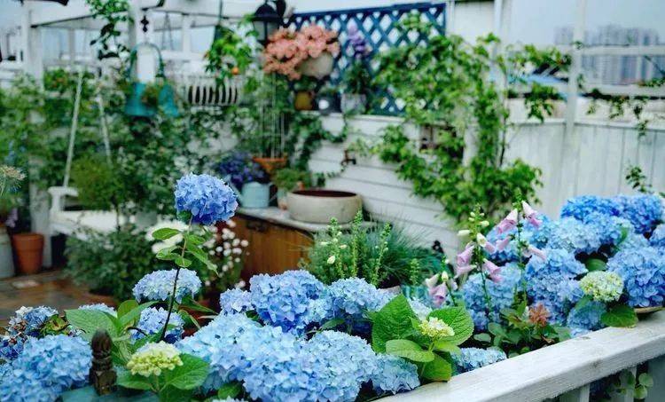 80平屋顶花园设计实景图案例，效果非常理想-青望私家花园设计-1