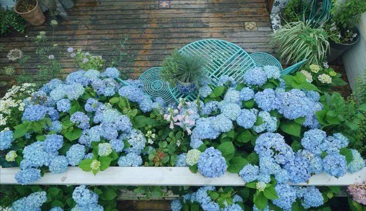 80平屋顶花园设计实景图案例，效果非常理想-青望私家花园设计-1