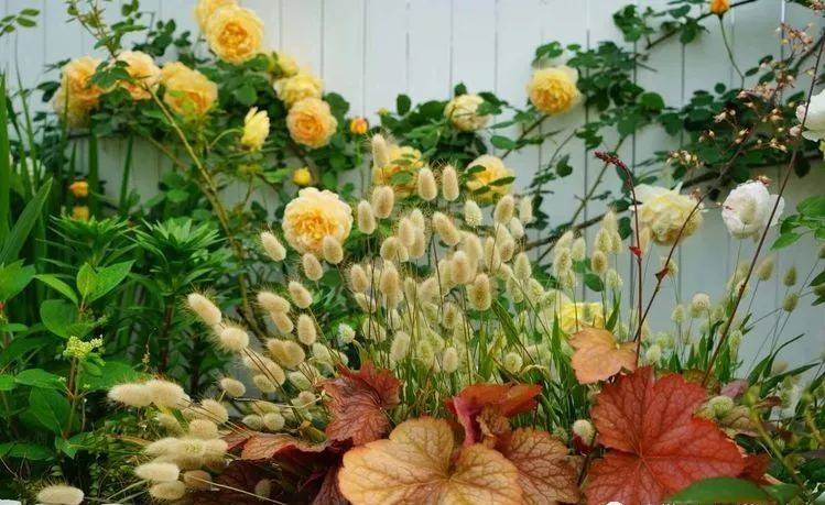 80平屋顶花园设计实景图案例，效果非常理想-青望私家花园设计-1
