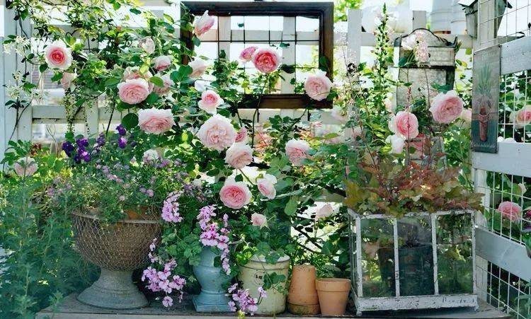 80平屋顶花园设计实景图案例，效果非常理想-青望私家花园设计-1