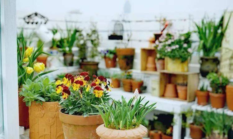 80平屋顶花园设计实景图案例，效果非常理想-青望私家花园设计-1