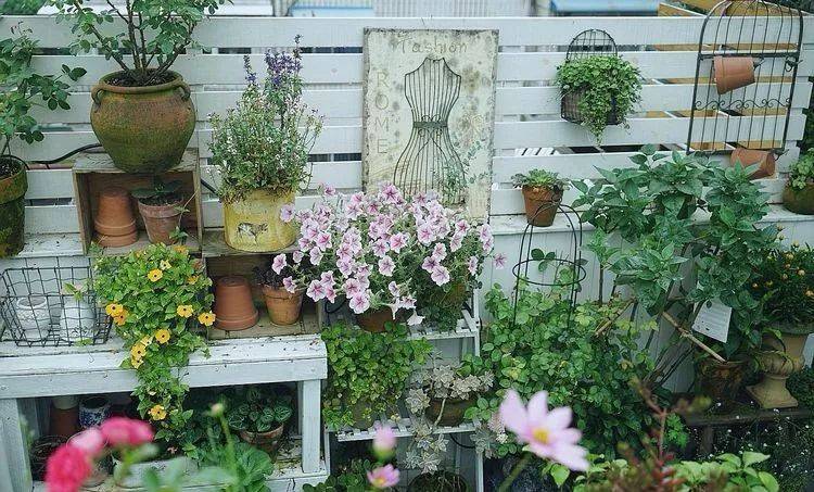 80平屋顶花园设计实景图案例，效果非常理想-青望私家花园设计-1