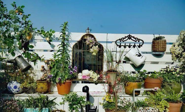80平屋顶花园设计实景图案例，效果非常理想-青望私家花园设计-1