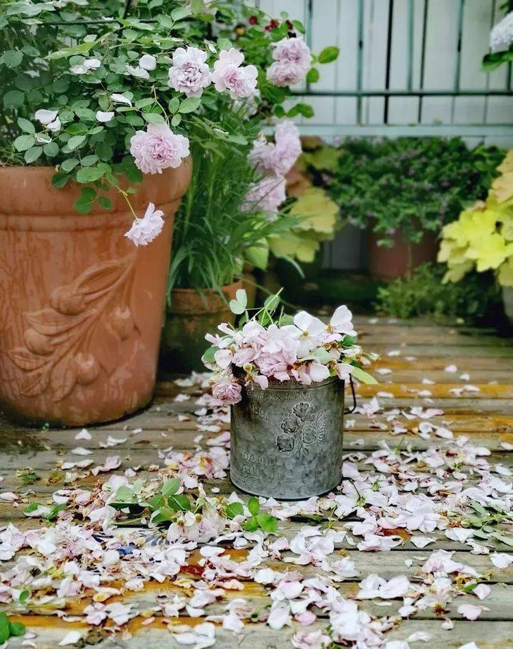 80平屋顶花园设计实景图案例，效果非常理想-青望私家花园设计-1