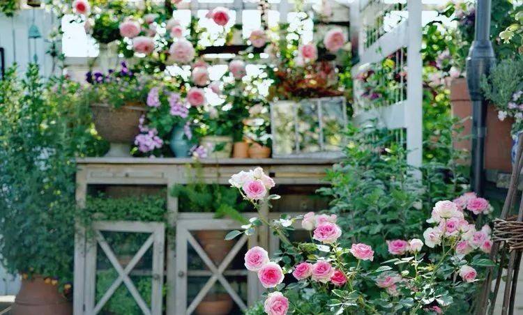 80平屋顶花园设计实景图案例，效果非常理想-青望私家花园设计-1