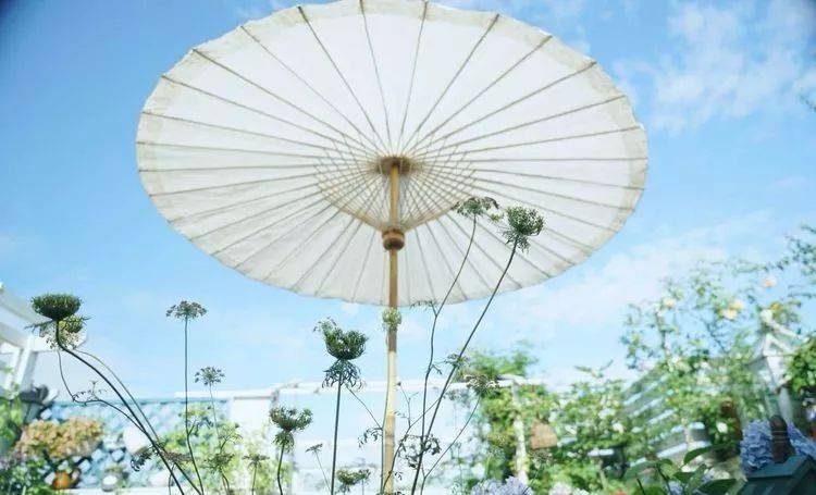 80平屋顶花园设计实景图案例，效果非常理想-青望私家花园设计-1