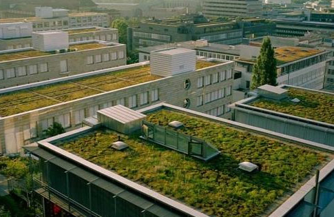 德国司图加特屋顶花园-成都青望园林景观设计公司