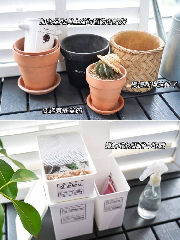 6平米阳台小花园设计布置打造-成都青望园林景观设计公司-1 6平米阳台小花园设计布置打造-成都青望园林景观设计公司-1