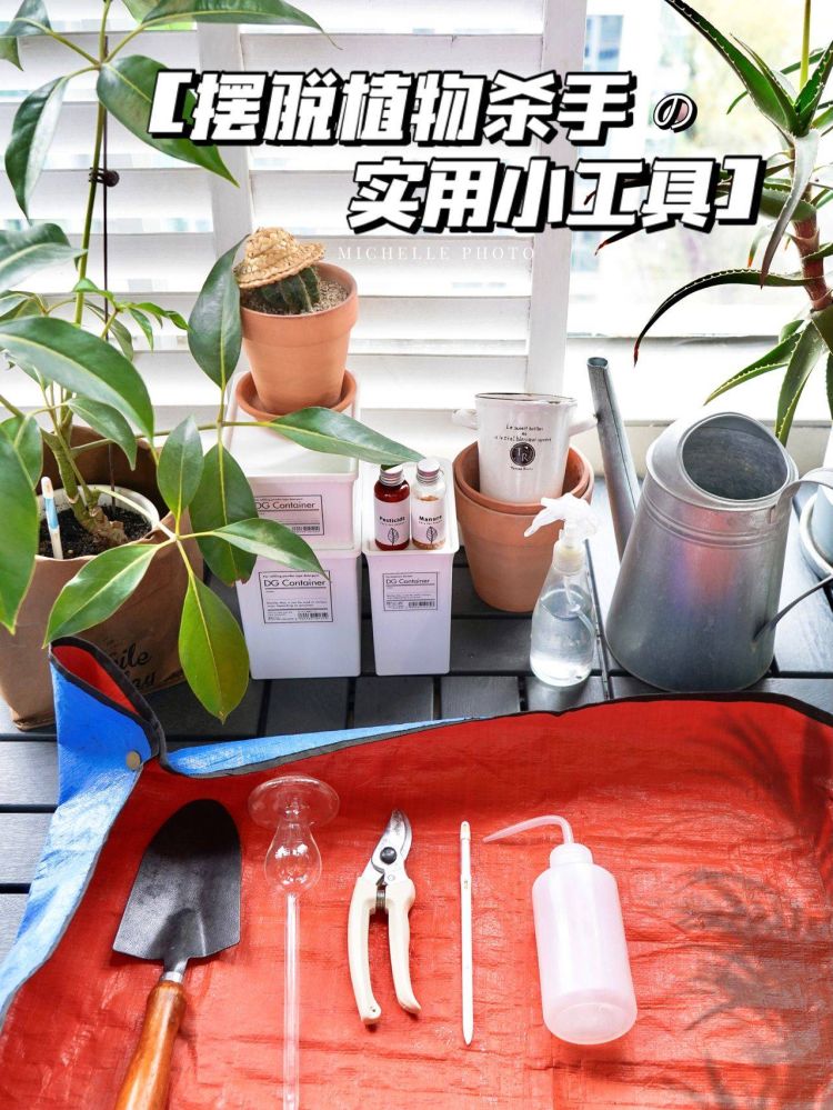 6平米阳台小花园设计布置打造-成都青望园林景观设计公司-1 6平米阳台小花园设计布置打造-成都青望园林景观设计公司-1