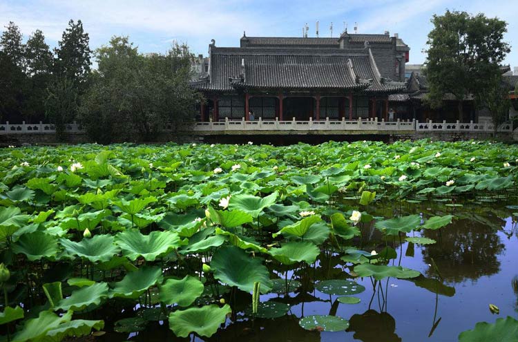 古莲花池-中国十大私家园林-成都青望园林景观设计公司