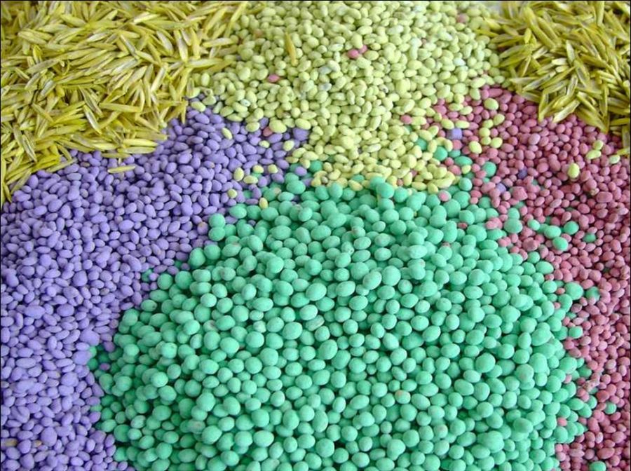 苜蓿种子包衣的秘密 种子为什么包衣如何包衣-长景园林网