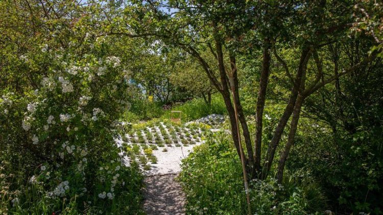 2022年切尔西花展花园设计作品实景图片案例-成都青望园林景观设计公司-1