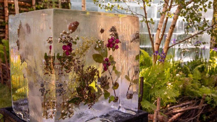 2022年切尔西花展花园设计作品实景图片案例-成都青望园林景观设计公司-1