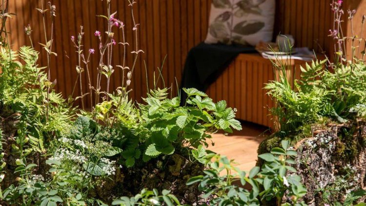 2022年切尔西花展花园设计作品实景图片案例-成都青望园林景观设计公司-1