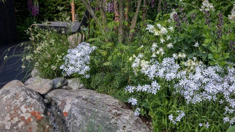 2022年切尔西花展花园设计作品实景图片案例-成都青望园林景观设计公司-1