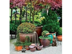 什么是花镜植物 哪些花草组合可以四季优美
