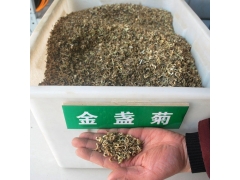 金盏花种子